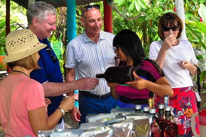 Punta Cana: Cultural half-day tours in the Dominican Republic - Art and local talent beyond the resort zone