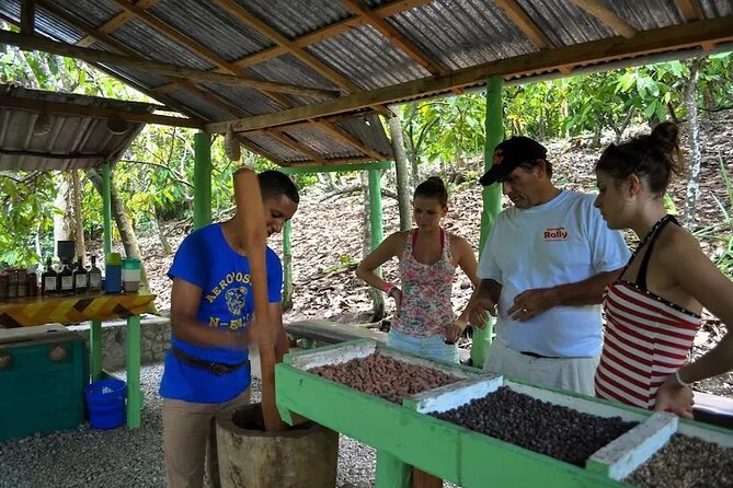 Punta Cana: Cultural half-day tours in the Dominican Republic - A brief horseback ride at the ranch