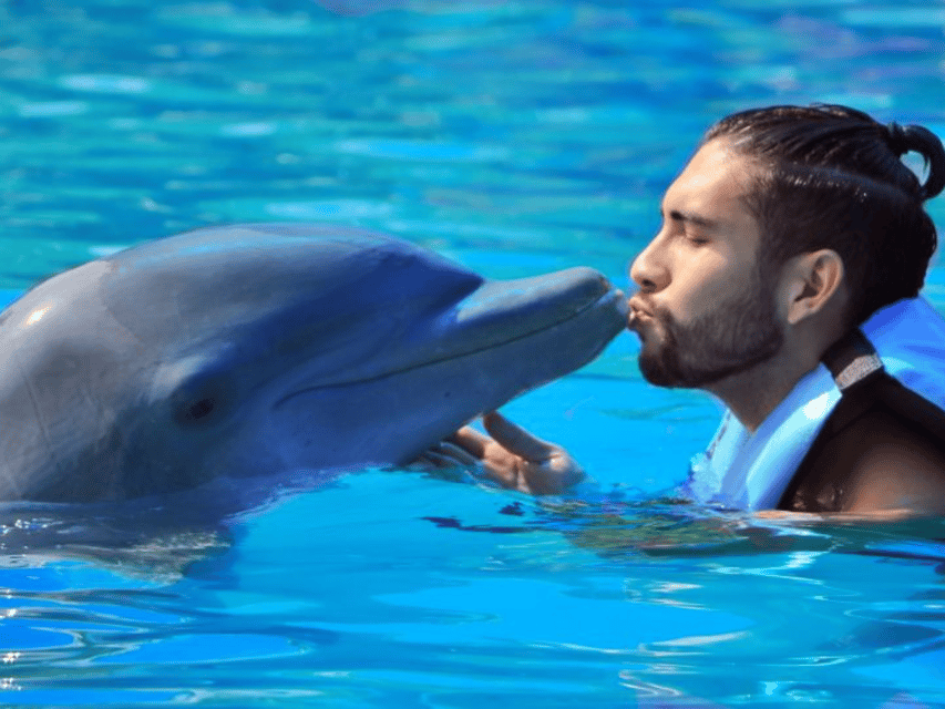 Punta Cana: Dolphin Explorer Park Entry, Swim, or Encounter - Who will enjoy this most?