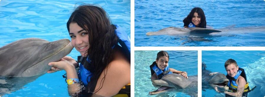 Punta Cana: Dolphin Explorer Park Entry, Swim, or Encounter - Choosing between the three dolphin programs