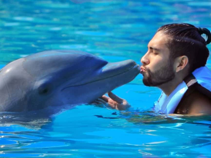 Punta Cana: Dolphin Explorer Park Entry, Swim, or Encounter - Sea lions, birds, and Pirate Island