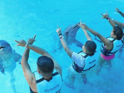 Dolphin Explorer Park Entry, Swim, or Encounter