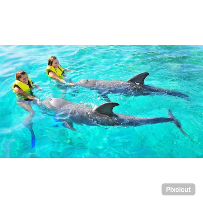 Punta Cana: Dolphin Explorer Park Entry, Swim, or Encounter - What to bring and what the park provides