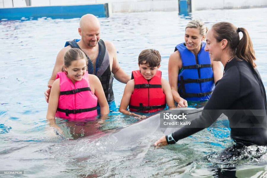 Punta Cana: Dolphin Explorer Park Entry, Swim, or Encounter - Is $140 a fair price?
