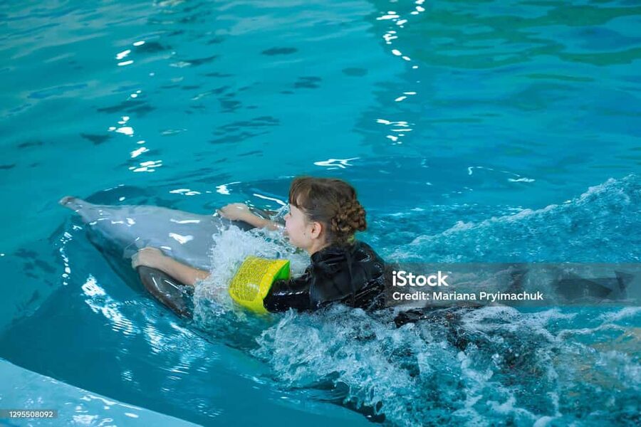 Punta Cana: Dolphin Explorer Park Entry, Swim, or Encounter - Animal welfare is part of the decision