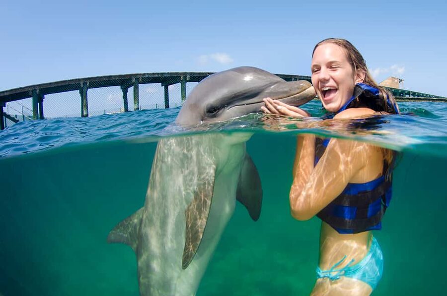 Punta Cana: Dolphin Explorer Swims and Interactions - Three ways to meet the dolphins