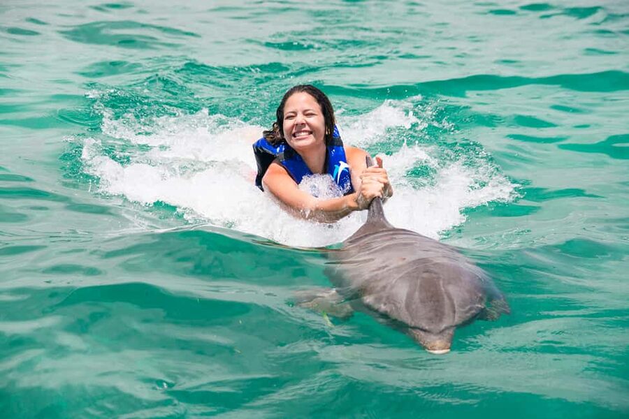 Punta Cana: Dolphin Explorer Swims and Interactions - Transportation, lockers, and the practical flow
