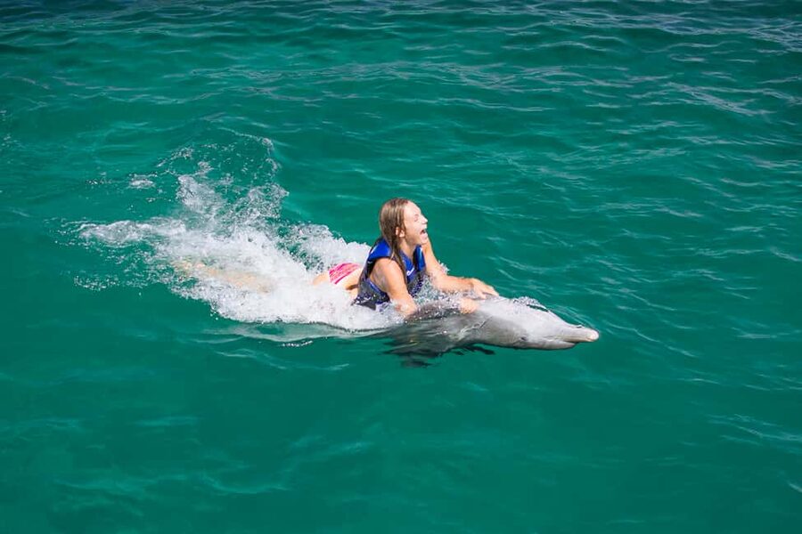 Punta Cana: Dolphin Explorer Swims and Interactions - Extra animals and the wider visit