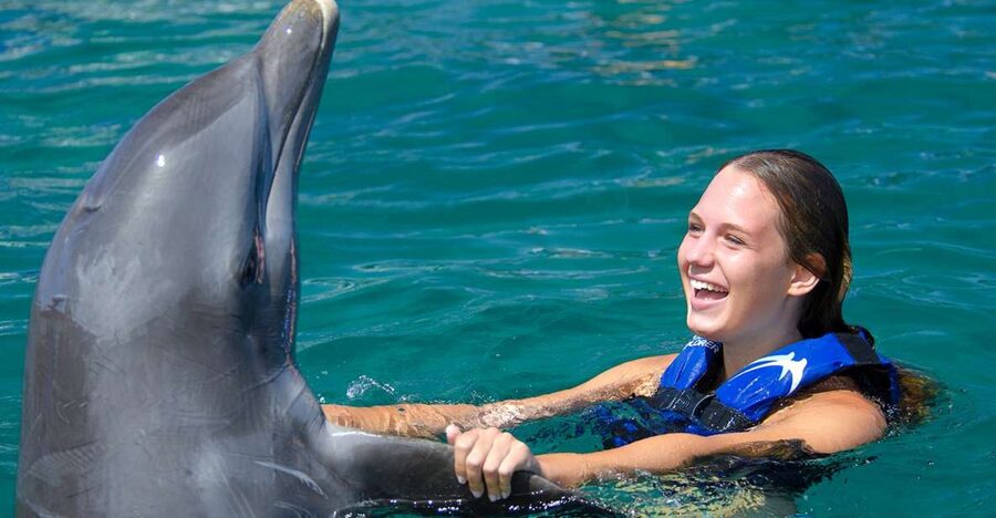 Punta Cana: Dolphin Explorer Swims and Interactions - Booking advice and cancellation flexibility