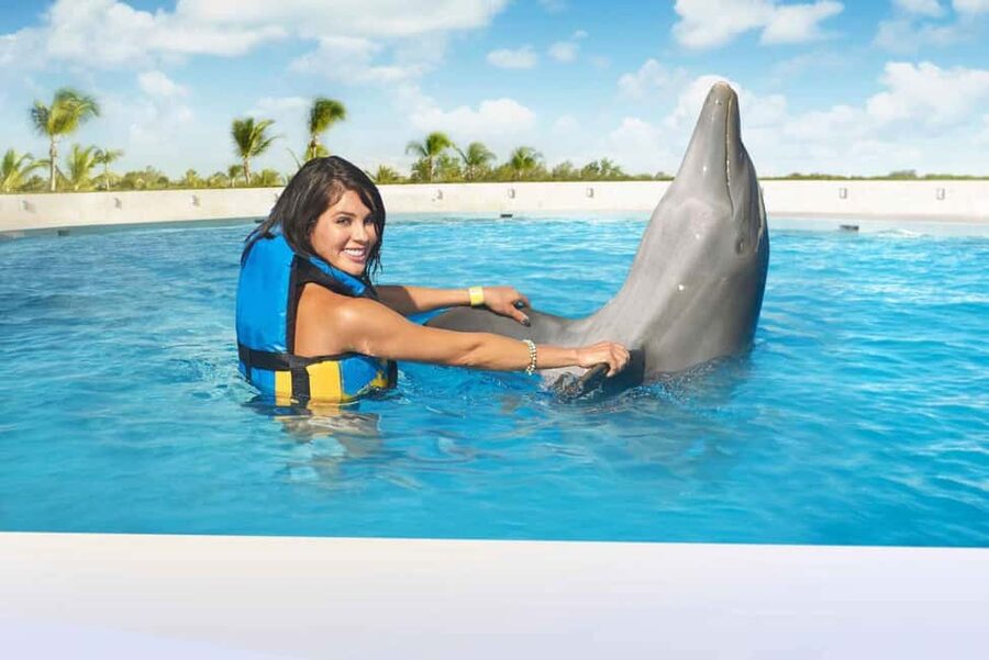 Punta Cana: Dolphin Interaction Experience & Hotel Transfers - Key points to know before booking
