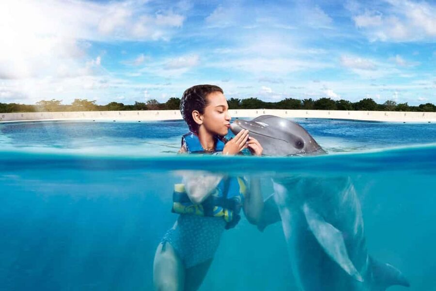 Punta Cana: Dolphin Interaction Experience & Hotel Transfers - Arriving at the dolphin park from your hotel