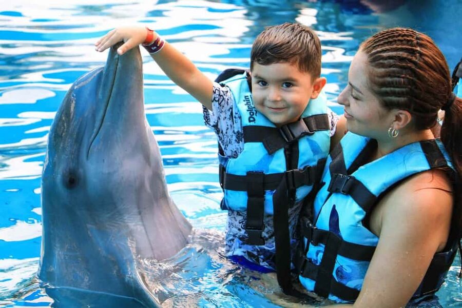 Punta Cana: Dolphin Interaction Experience & Hotel Transfers - Learning dolphin anatomy before getting in the water