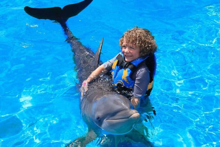 Punta Cana: Dolphin Interaction Experience & Hotel Transfers - The platform greeting for a gentler encounter