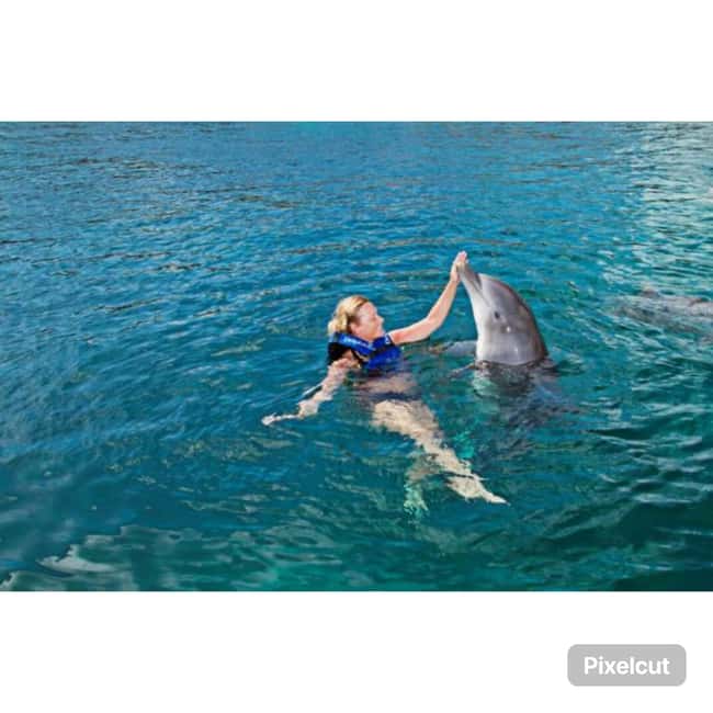 Punta Cana: Dolphin Park Entry and Swim with Dolphins - Key points to know before booking