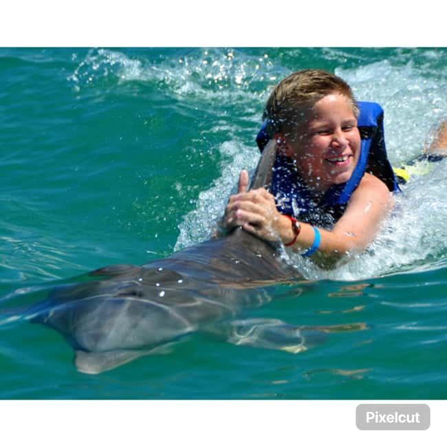 Punta Cana: Dolphin Park Entry and Swim with Dolphins - What the one-hour schedule really means
