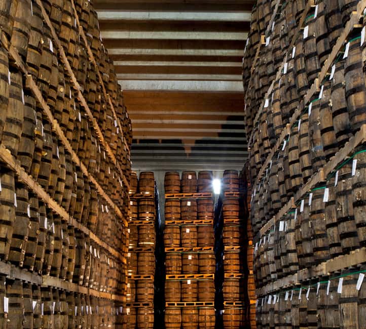 Punta Cana: Dominican Flavors Guided Day Trip - A quick route from tobacco leaves to rum barrels