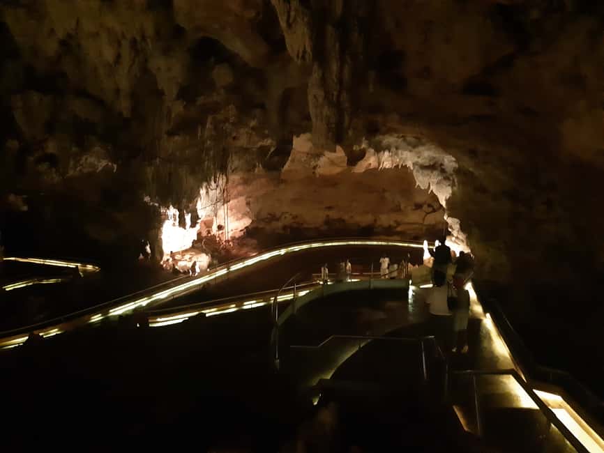 Punta Cana: Dominican Flavors Guided Day Trip - Transport, pickup, and the service question