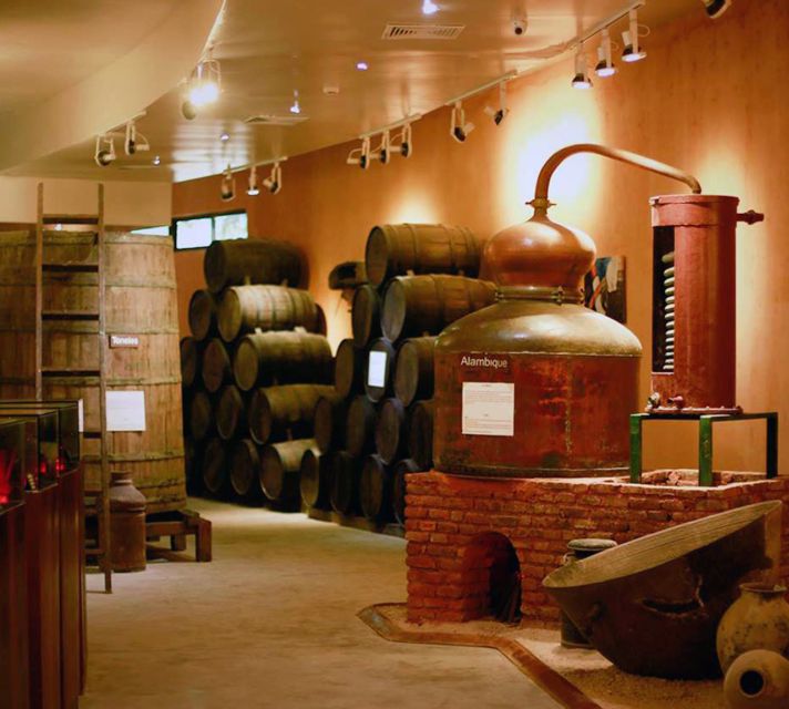 Punta Cana: Dominican Flavors Guided Day Trip - Who will enjoy this tour most