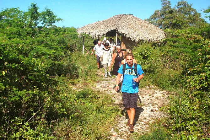 Punta Cana: Eco Jungle Tour - Padre Nuestro and the first jungle walk