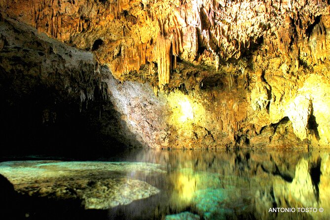 Punta Cana: Eco Jungle Tour - Meeting the Dominican countryside at Yuca Yena