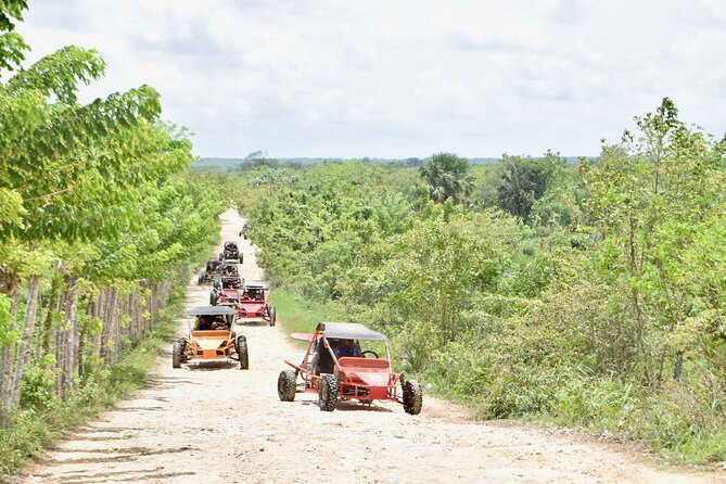 Punta Cana: Ecological Adventure in Buggies from Santo Domingo - Taking the wheel on the buggy route