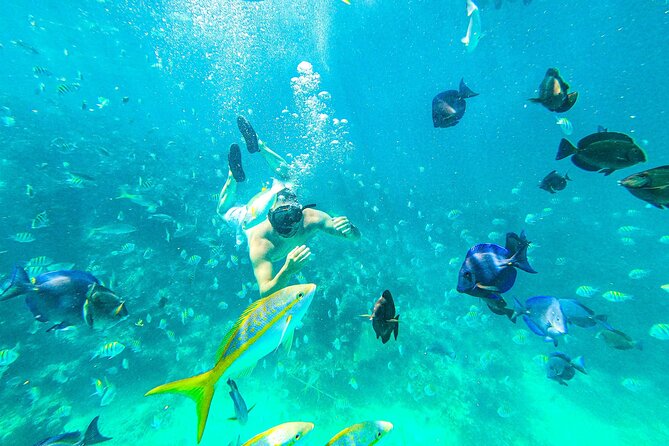 Punta Cana Exclusive Adults-Only Snorkel with Food and Drinks - Key points at a glance
