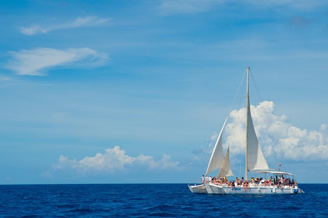 Punta Cana:Exclusive Private Tours for Groups of Up to 7 People - What the Saona Island stop includes