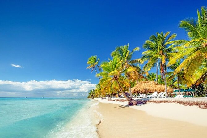 Punta Cana:Exclusive Private Tours for Groups of Up to 7 People - Who will enjoy this more than a standard excursion?