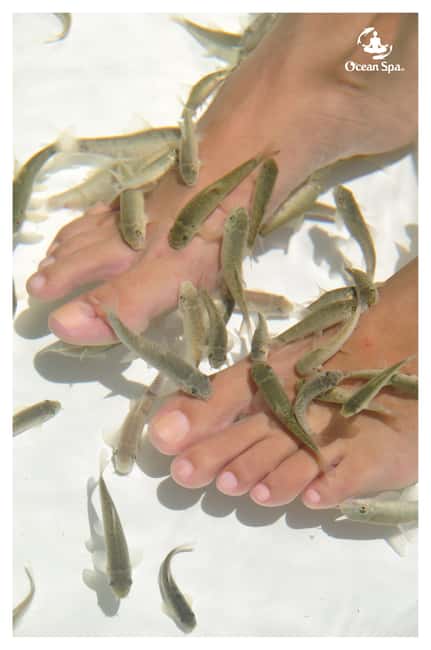 Punta Cana Floating Ocean Spa Experience with Massage & Yoga - Is the experience good value?