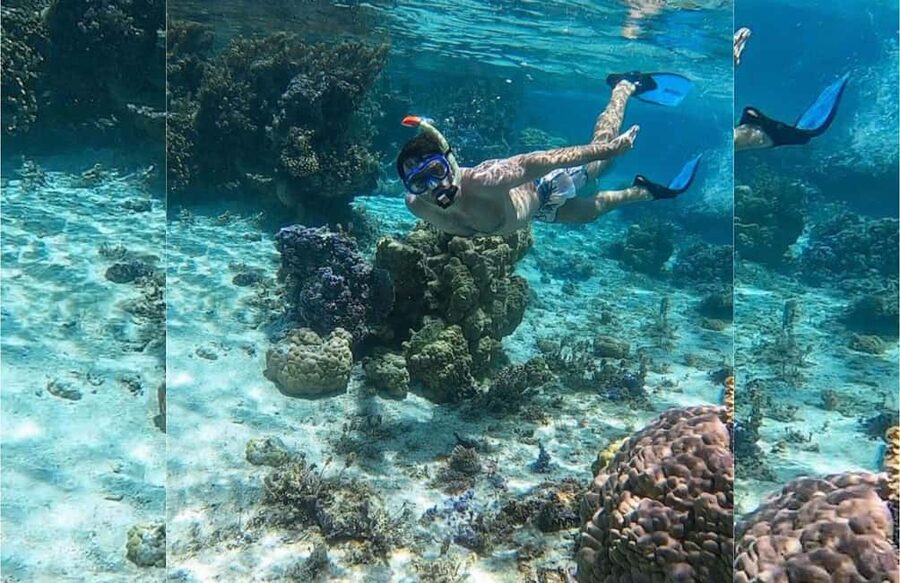 Punta Cana: Full-day Snorkelling Tour in Catalina Island - A long Caribbean day, not a quick boat trip