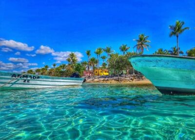 Full-day Snorkelling Tour in Catalina Island