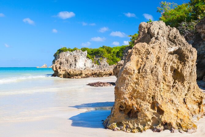 Punta Cana Guided Buggy Adventure Tour - Getting from Bávaro to the off-road route