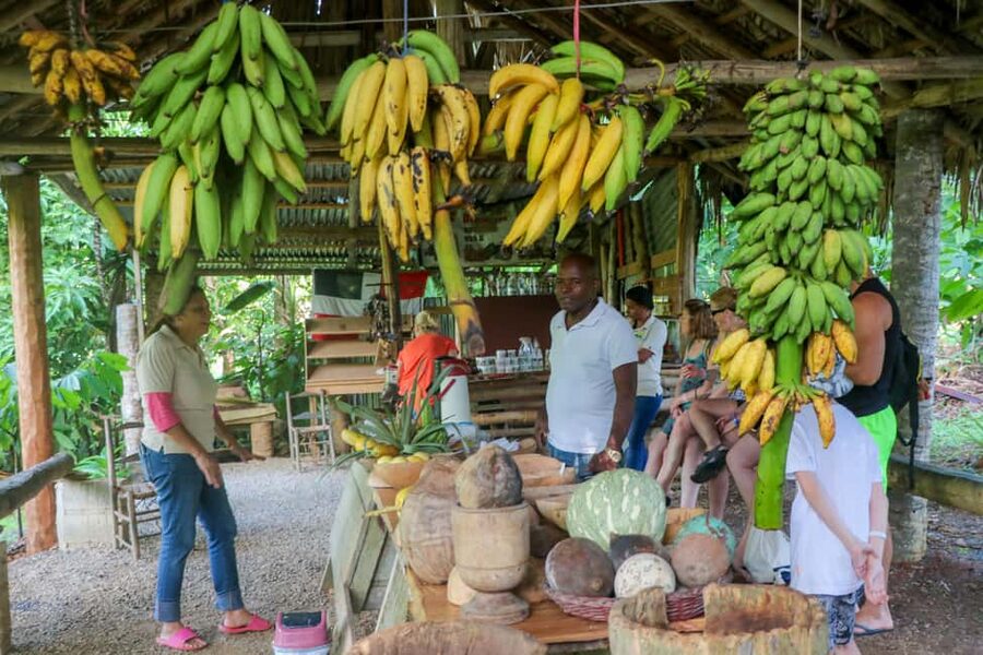 Punta Cana: Haitises, Cano Hondo, Redonda Mountain Day Trip - The Long Ride Into Hato Mayor Province