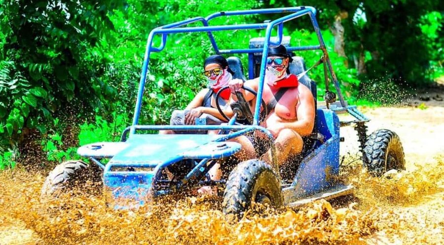 Punta Cana: Half-Day Buggy Tour with PickUp & Macao Beach - Driving Through Forests, Gardens, and Farmland