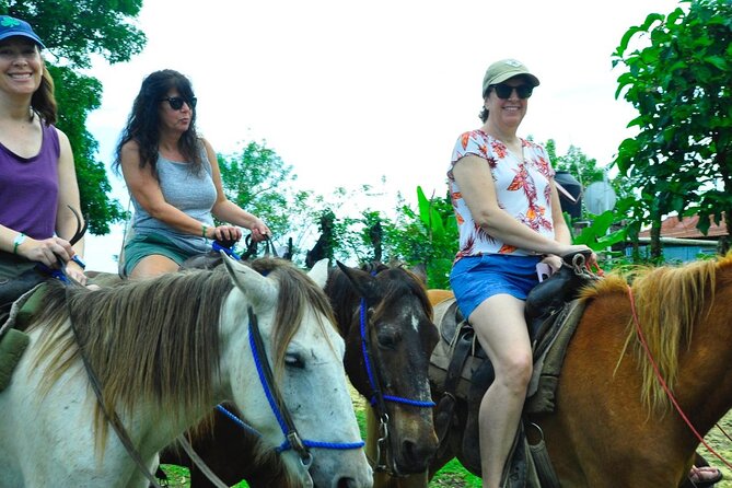 Punta Cana Half-Day Cultural Safari with Lunch and Drinks - Guides make or break this kind of day