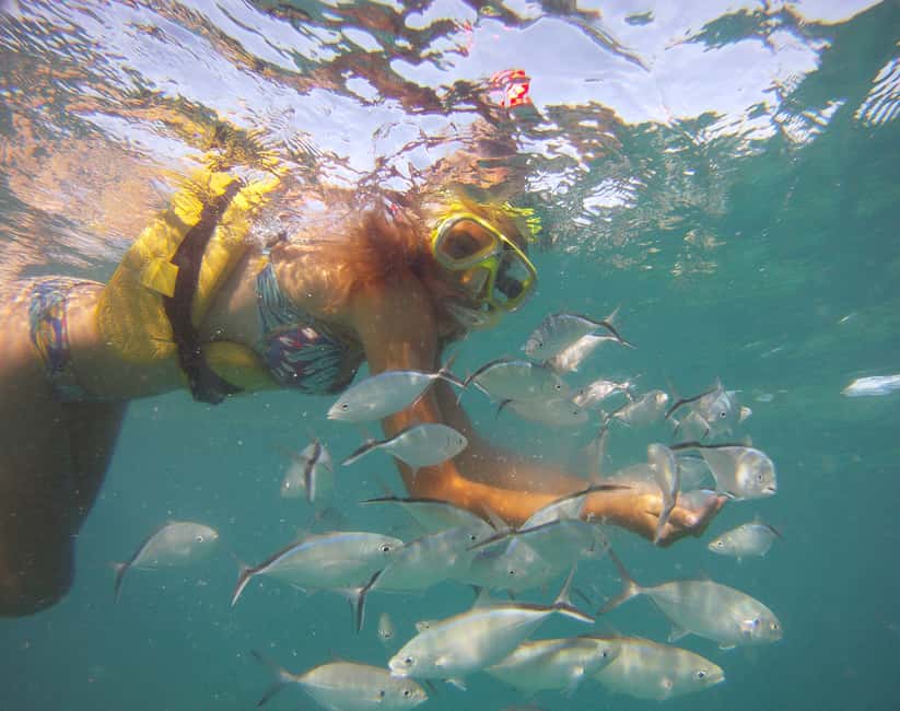 Punta Cana Happy Hour Sailing Cruise - Key points to know before booking