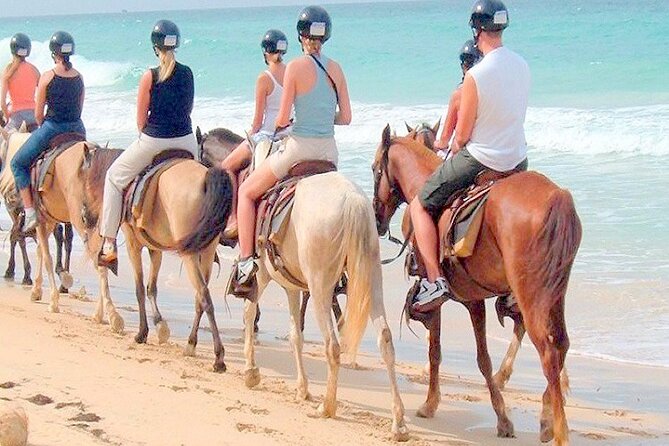 Punta Cana Horse Riding for Beaches in Field - What the horse ride may feel like
