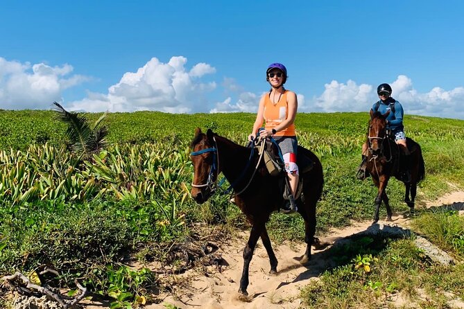 Punta Cana Horseback Ride: Jungle, Macao Beach & Free Pick Up - One hour at Macao Beach on horseback
