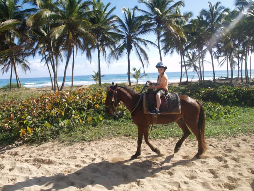 Punta Cana: Horseback Ride to Macao Beach - From the ranch to a traditional village