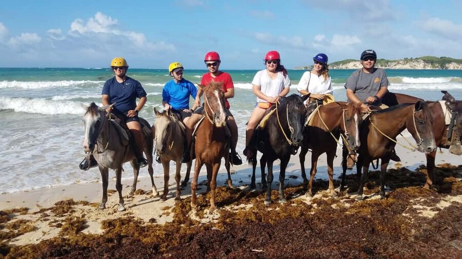 Punta Cana: Horseback Ride to Macao Beach - Riding beneath the trees in Punta Cana Forest
