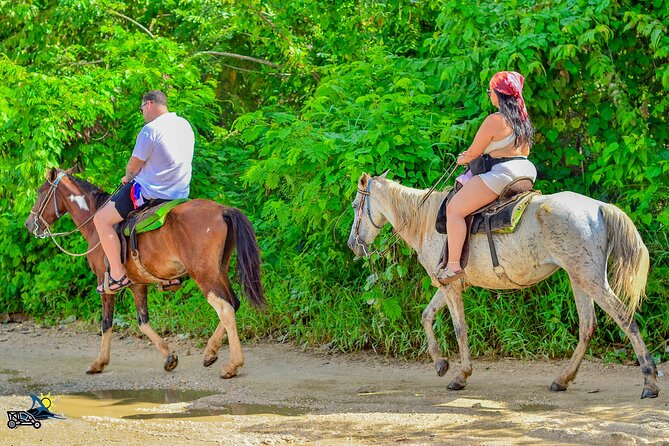 Punta Cana Horseback Riding Adventure on Macao Beach - Group size, comfort, and the real pace of the day