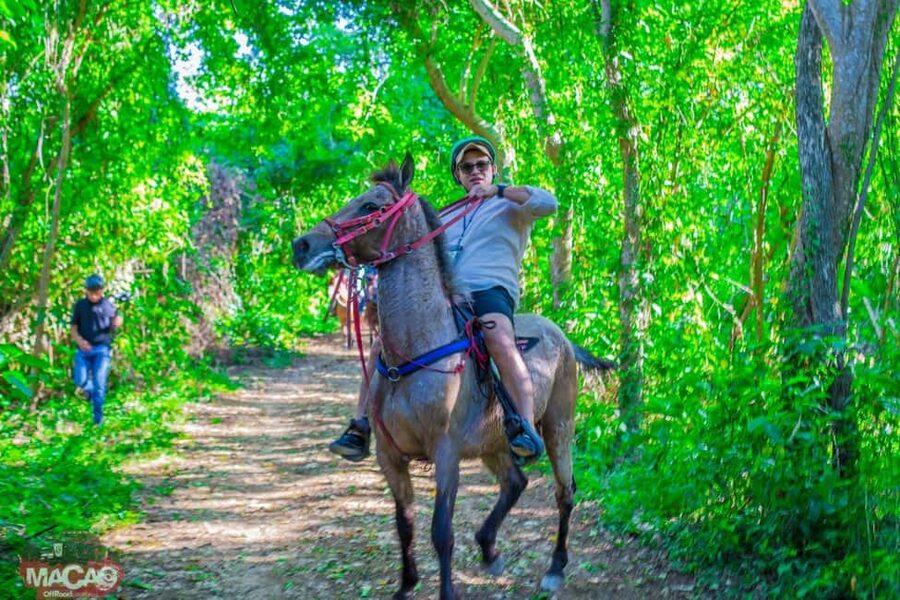 Punta Cana Horseback riding & Sunset + beach + free pick-up - Pickup from Punta Cana resorts and the ride to Macao