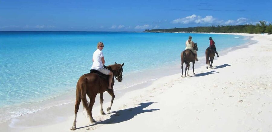 Punta Cana: Horseback Riding through Stunning Beaches - Key points to know before you book