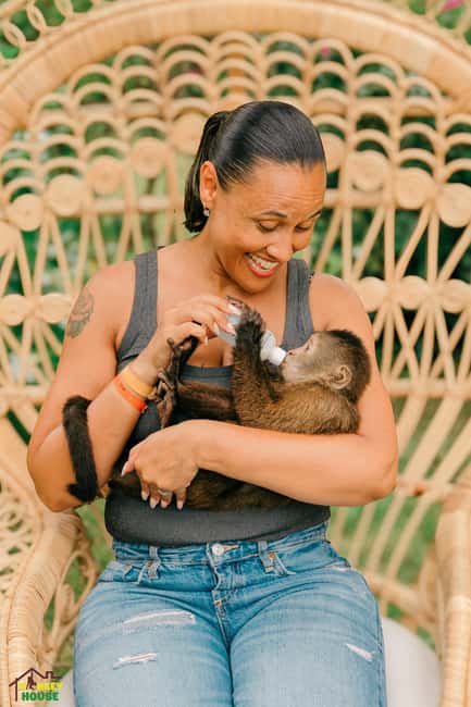 Punta Cana: Interactive Experience at Monkey House - Key points to know before you book