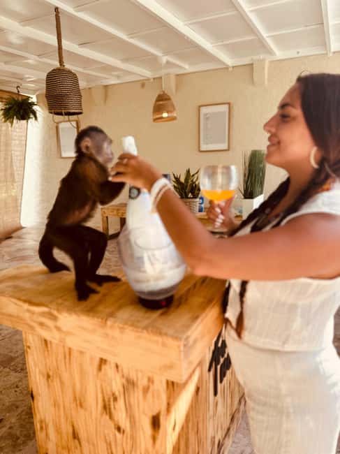 Punta Cana: Interactive Experience at Monkey House - Who will enjoy this experience most