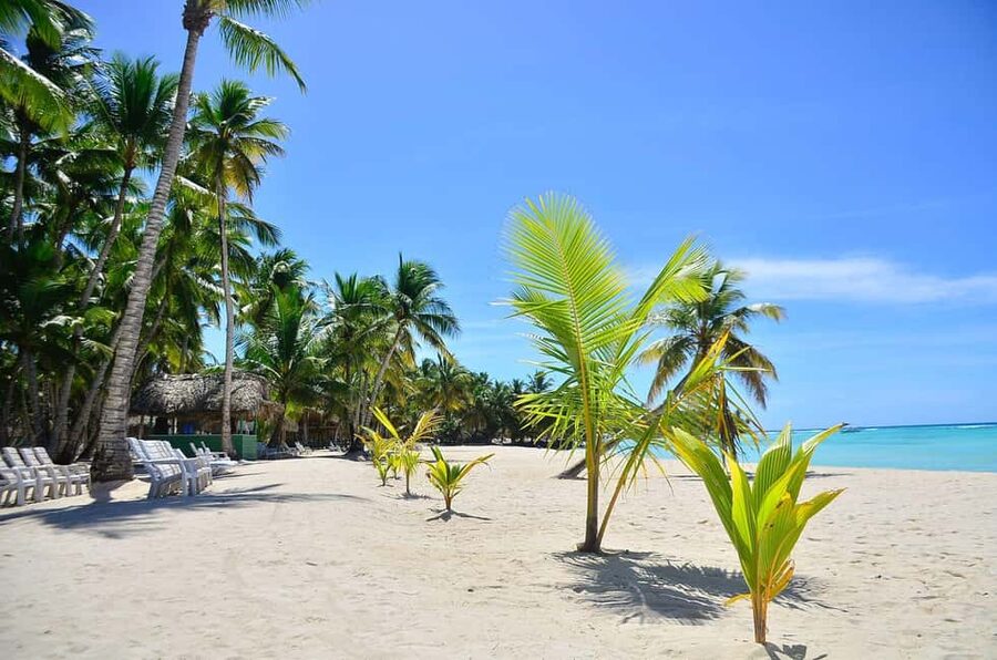 Punta cana: Island Escape to Saona • catamaran & Beach lunch - Saona Island is beautiful, but the clock matters