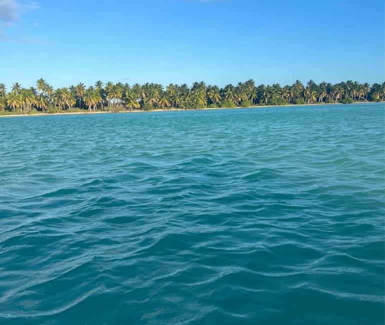 Punta cana: Island Escape to Saona • catamaran & Beach lunch - The buffet is useful, but arrive before the trays thin out