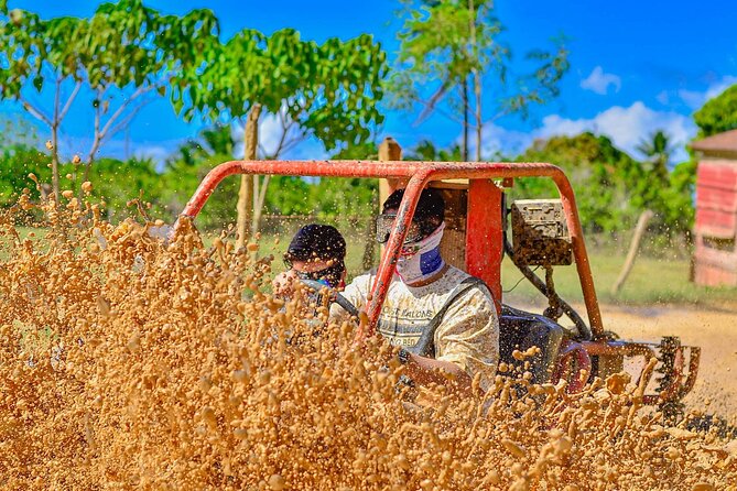 Punta Cana Jungle Buggy Tour: Macao Beach Visit and Cenote Swim - Coffee, chocolate, and Mama Juana at a Dominican home