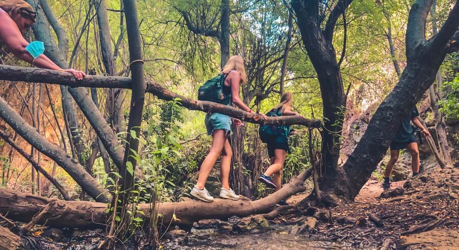 Punta Cana: Los Haitises Hike & Kayaking Mangroves - Why Los Haitises Makes a Worthwhile Day Trip