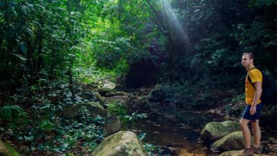 Los Haitises Hike & Kayaking Mangroves